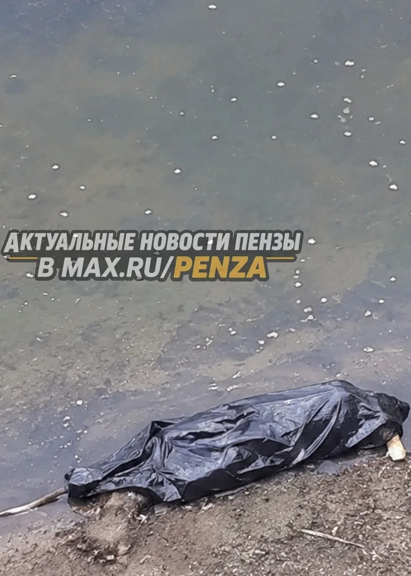 На Суре в Пензенском районе произошла очередная трагедия на воде. 
 
По данным регионального управле