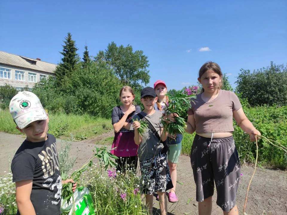 🌱Воспитанники собрали Иван-чай🌱

☀️В отделении социальной реабилитации (временный приют) каникулы 