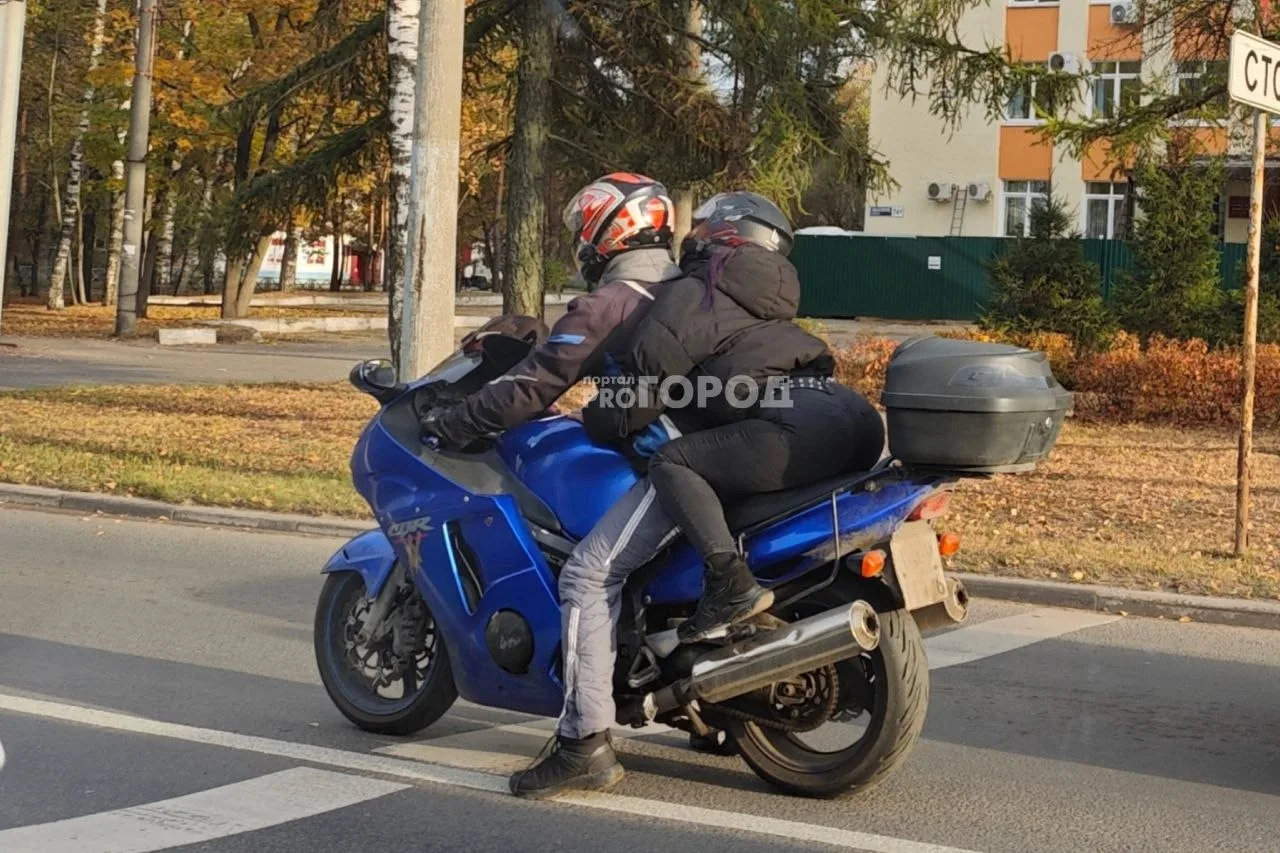 В Ярославскую область идет бабье лето: воздух прогреется до +25 градусов