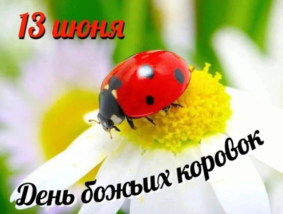 🐞 Сегодня особенный день... 🐞

🗓 13 июня мы отмечаем самый милый праздник в календаре — День божь
