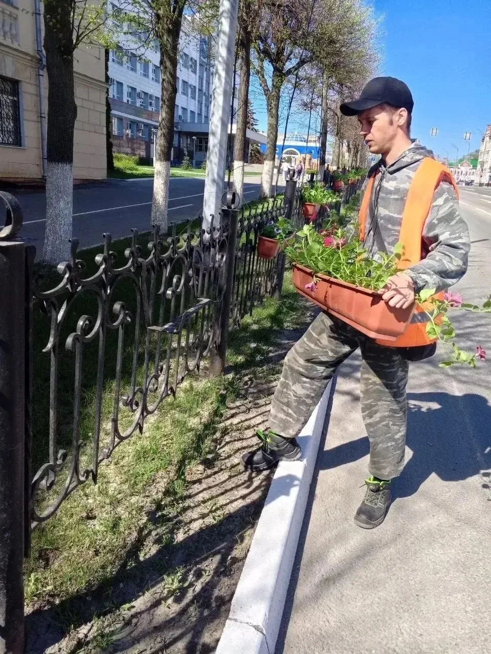 Цветочные клумбы в Йошкар-Оле преобразились к летнему сезону  В преддверии преображения специалисты 