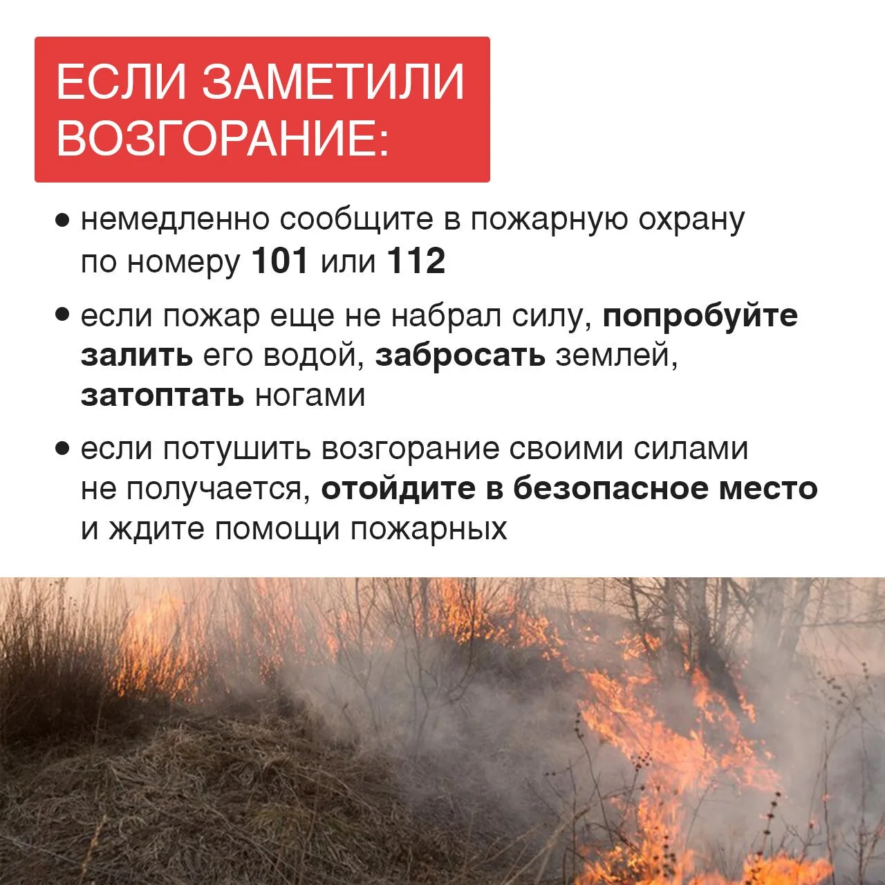 В Удмуртии с 17 апреля – пожароопасный сезон Это время, когда природа особенно уязвима, а любая искр