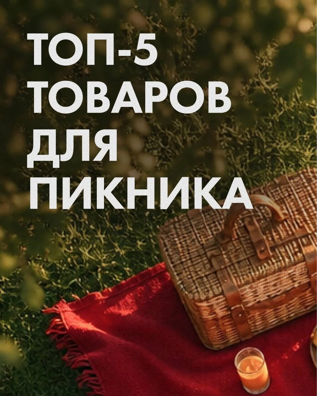 5 вещей для отличного дня за городом 🌳