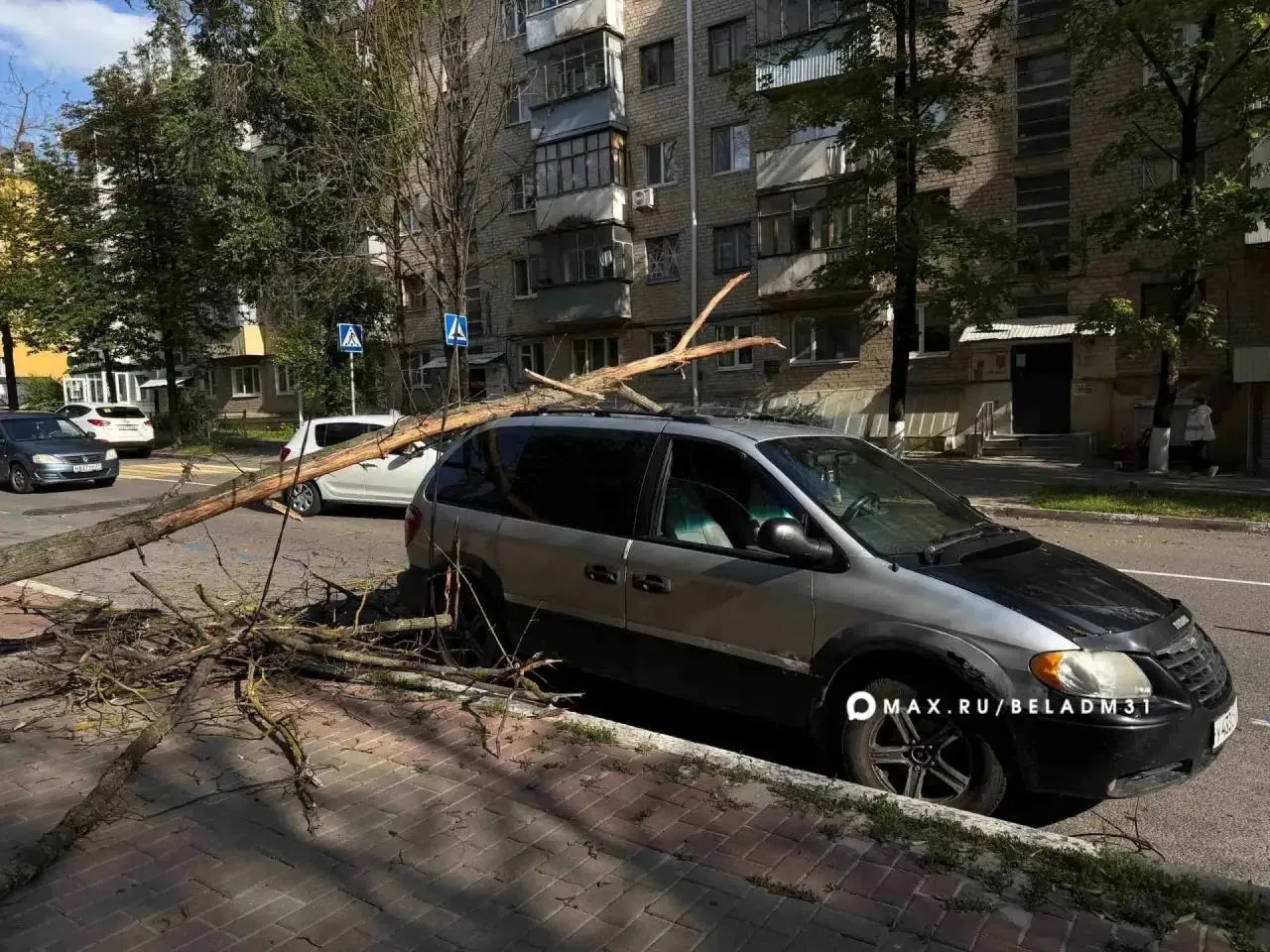 Из-за сильного порыва ветра сегодня на улице Шершнёва, 28 дерево упало на автомобиль и ...