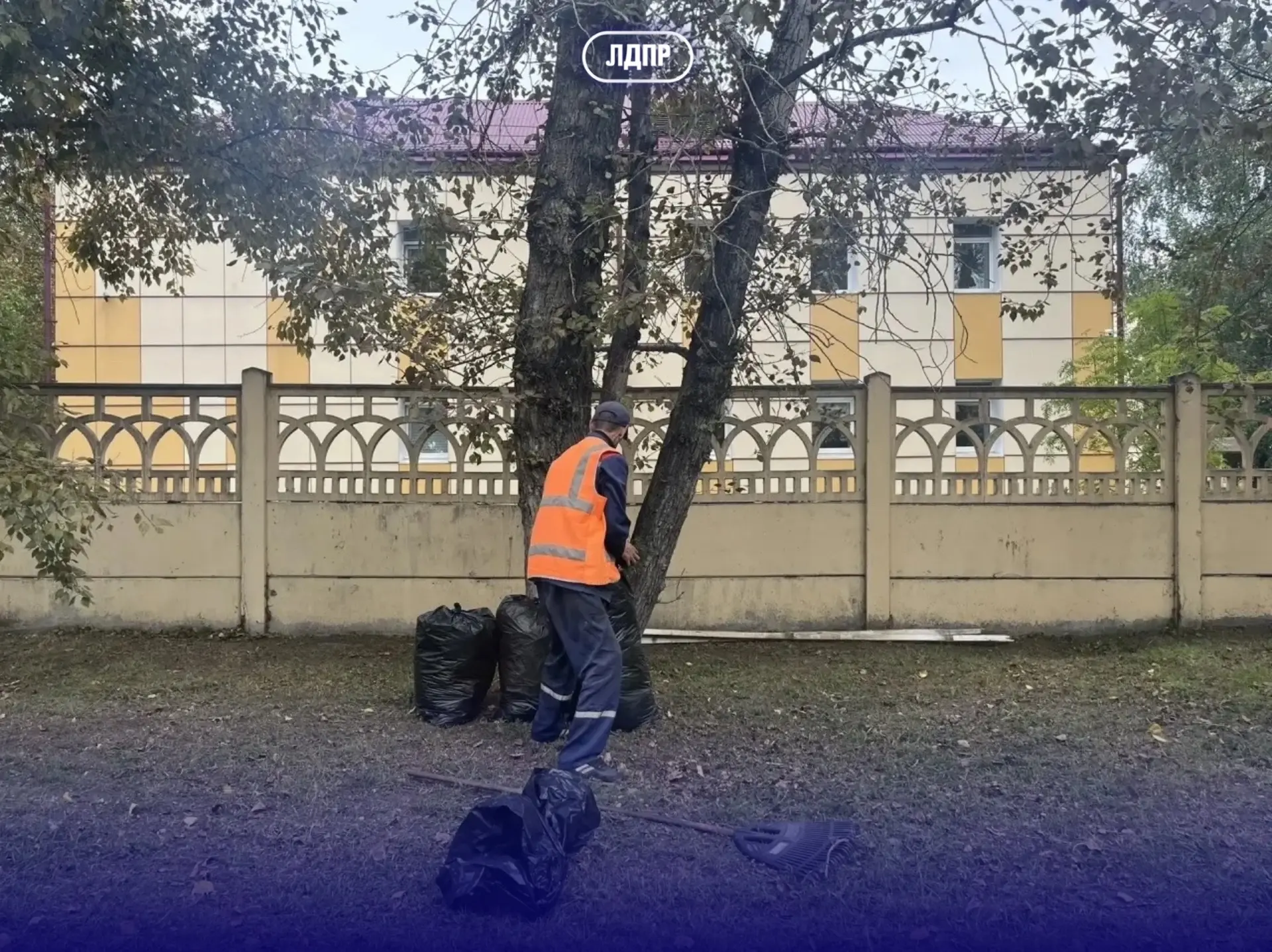 80 добрых дел: подготовка дворов к осени