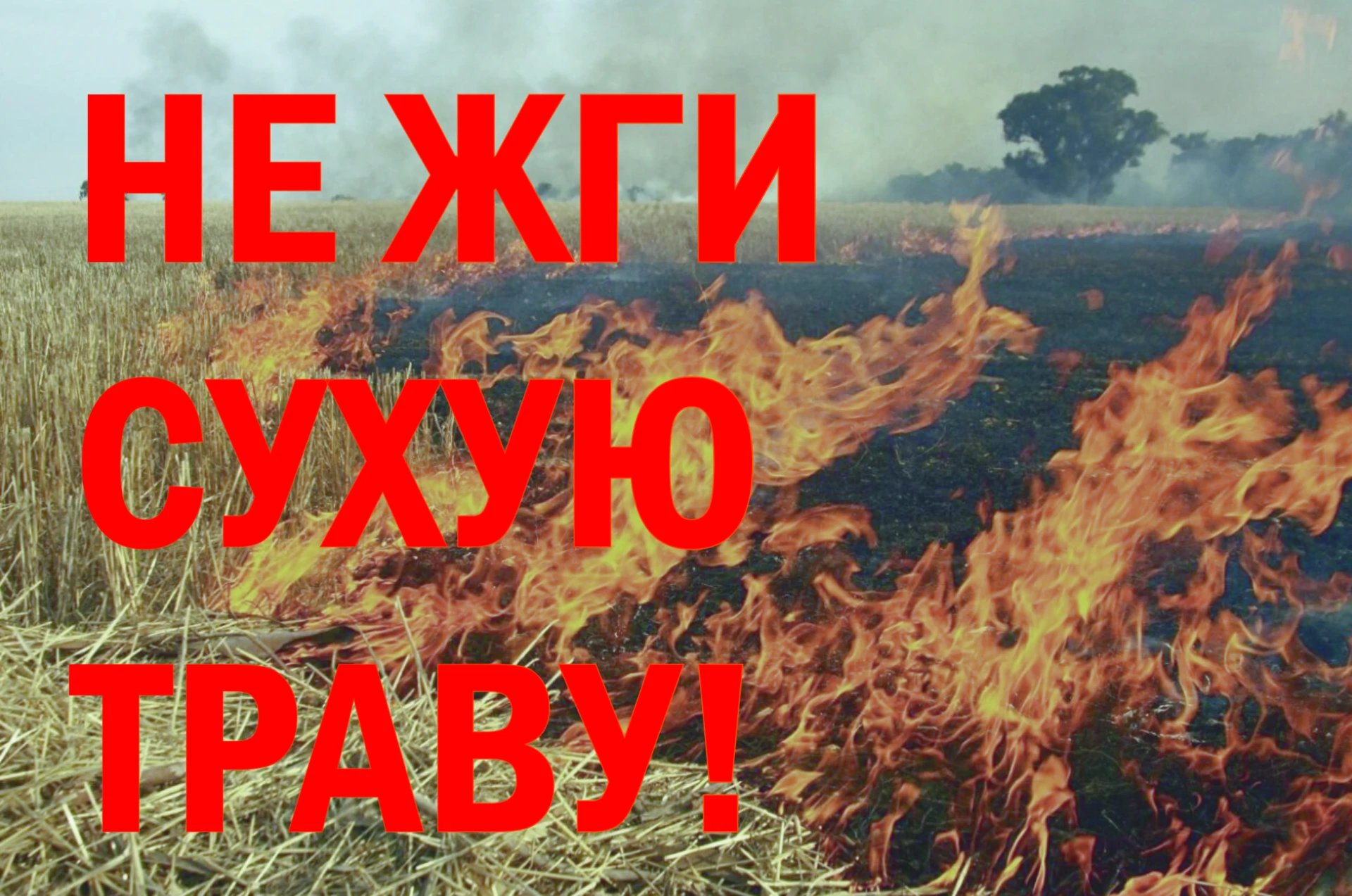 🔥 ВНИМАНИЕ! ПАЛ ТРАВЫ - ЭТО ПРЕСТУПЛЕНИЕ, А НЕ "УБОРКА"!