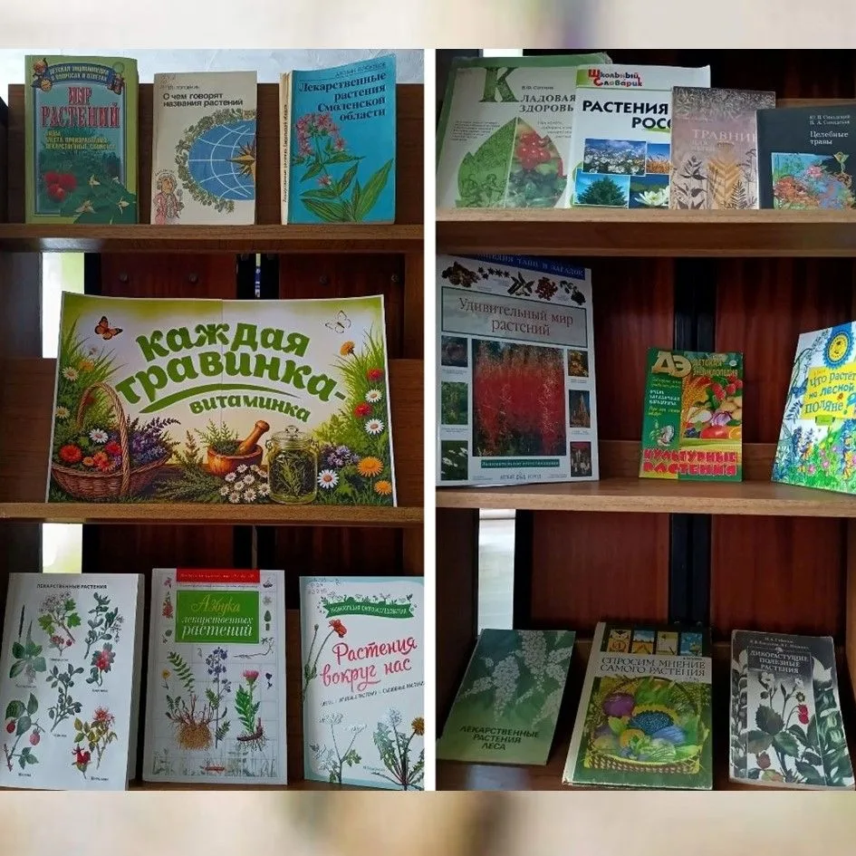 📚👦👧В детской библиотеке прошла познавательная прогулка «Каждая травинка — витаминка»🌿