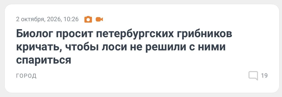 Внимание, грибники! Лоси могут вас перепутать с невестами
