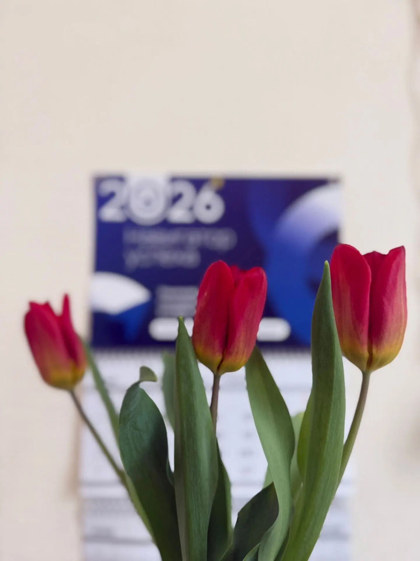 На улице - снег, а в корпусах УлГУ - весна 🌷🌷🌷