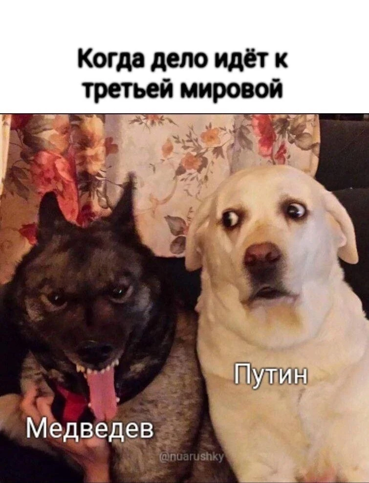 Каждый день