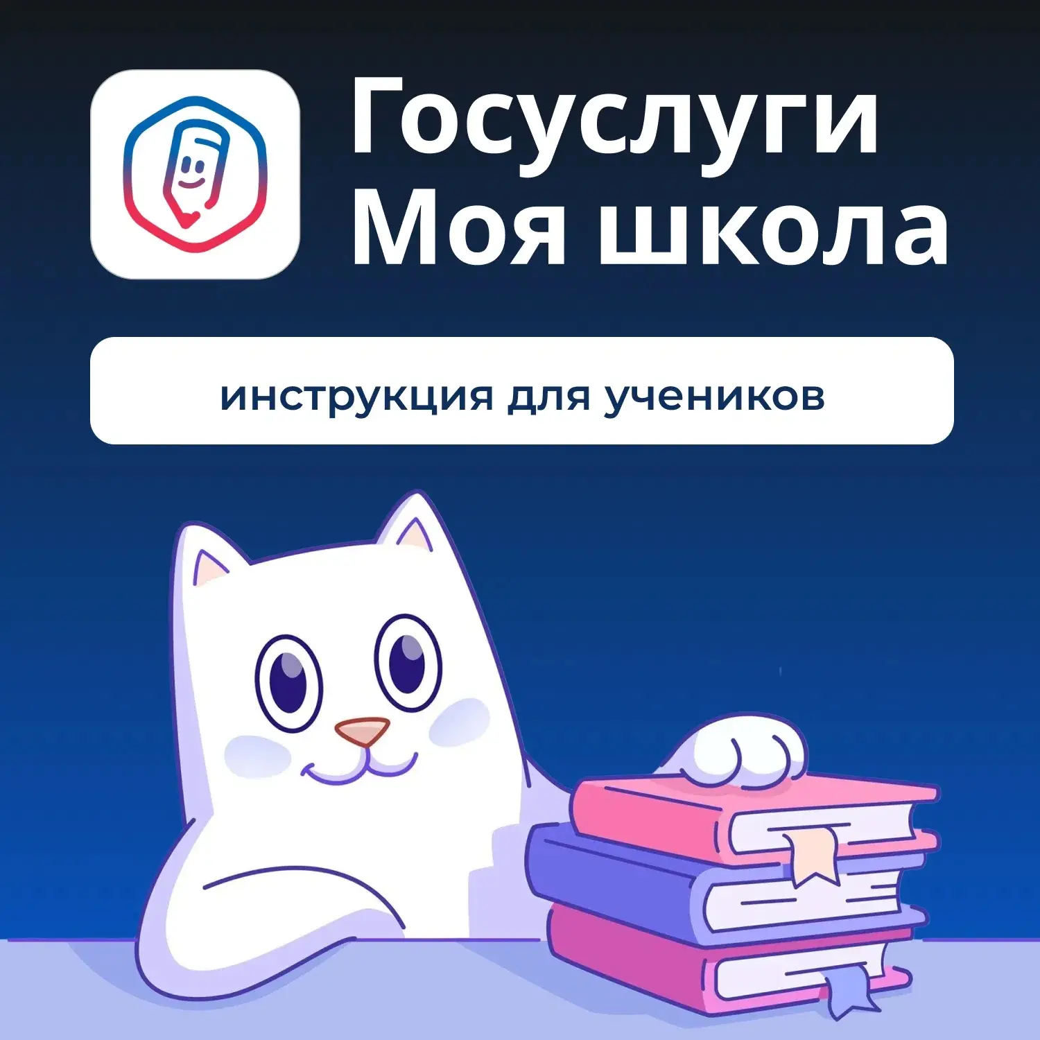Инструкция для учеников: Как пользоваться сервисом ТОР "Моя школа"