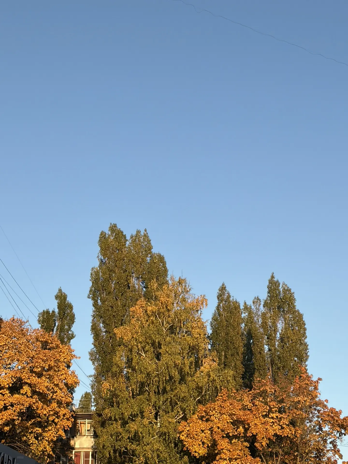 Доброе утро! 🍂