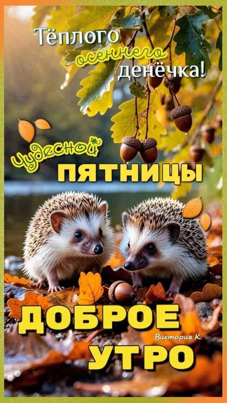 🍁🍂С добрым утром октября! Желаем ясности за окошком и в делах. Пусть красивый листопа...