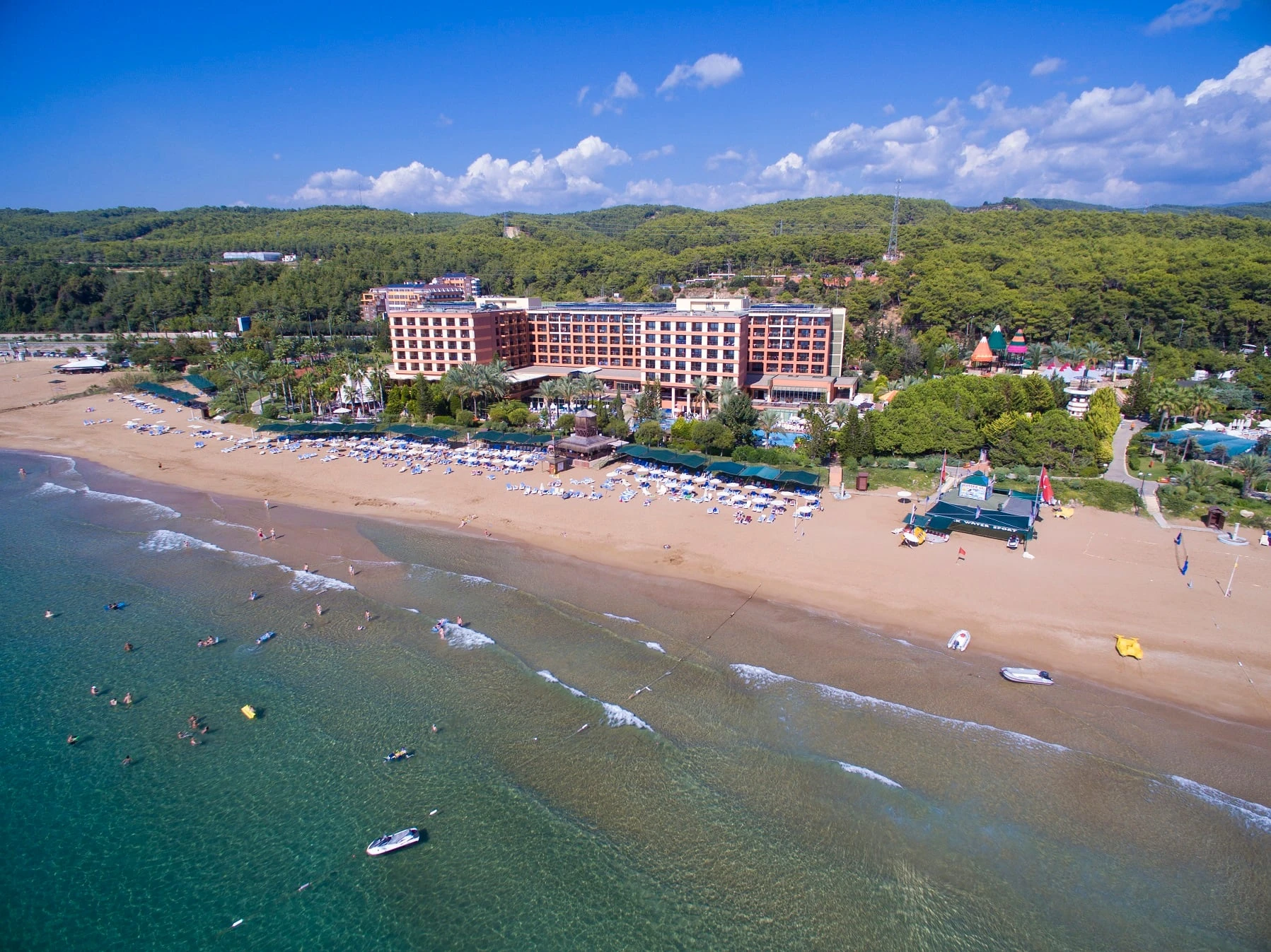 AQI Pegasos Royal