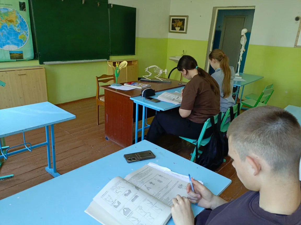 Биология — сложный предмет для сдачи на ОГЭ. Его выбирают те, кто планирует идти в проф...