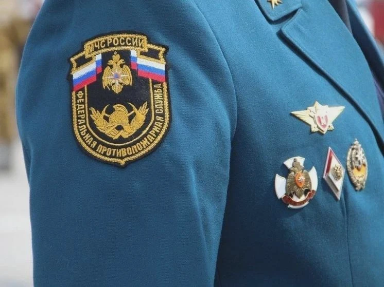 Кота сняли с дерева в Биробиджане