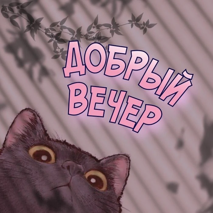 Хорошего вечера мои дорогие!🥰