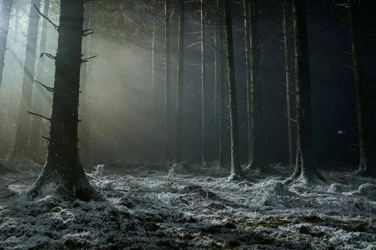 🐺 Новый взгляд на фильм «Вервольф» Роберта Эггерса

Зарубежный прокат стартует 29 июня