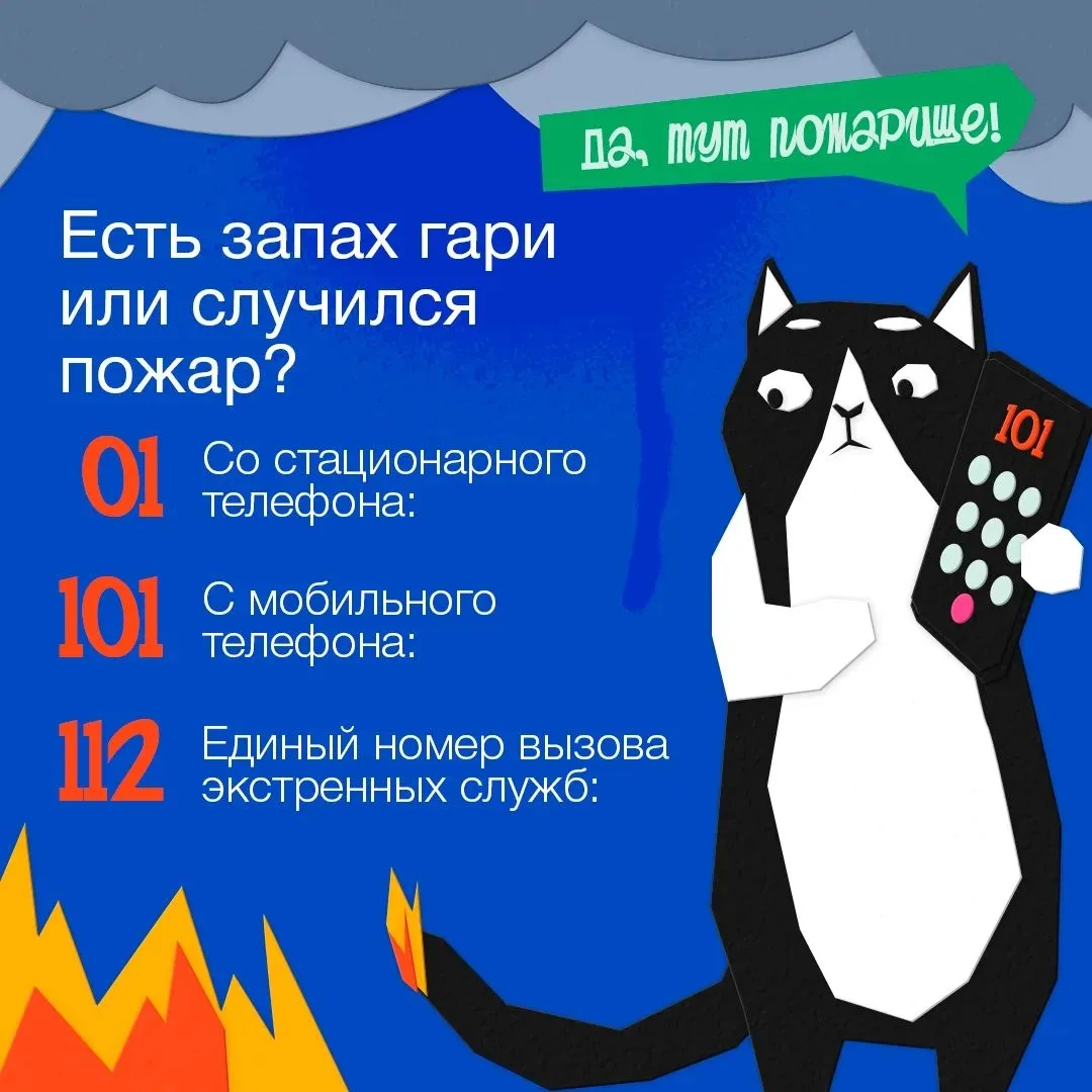 А вы знаете, куда звонить, если срочно нужна помощь врачей, полицейских или пожарных?☎