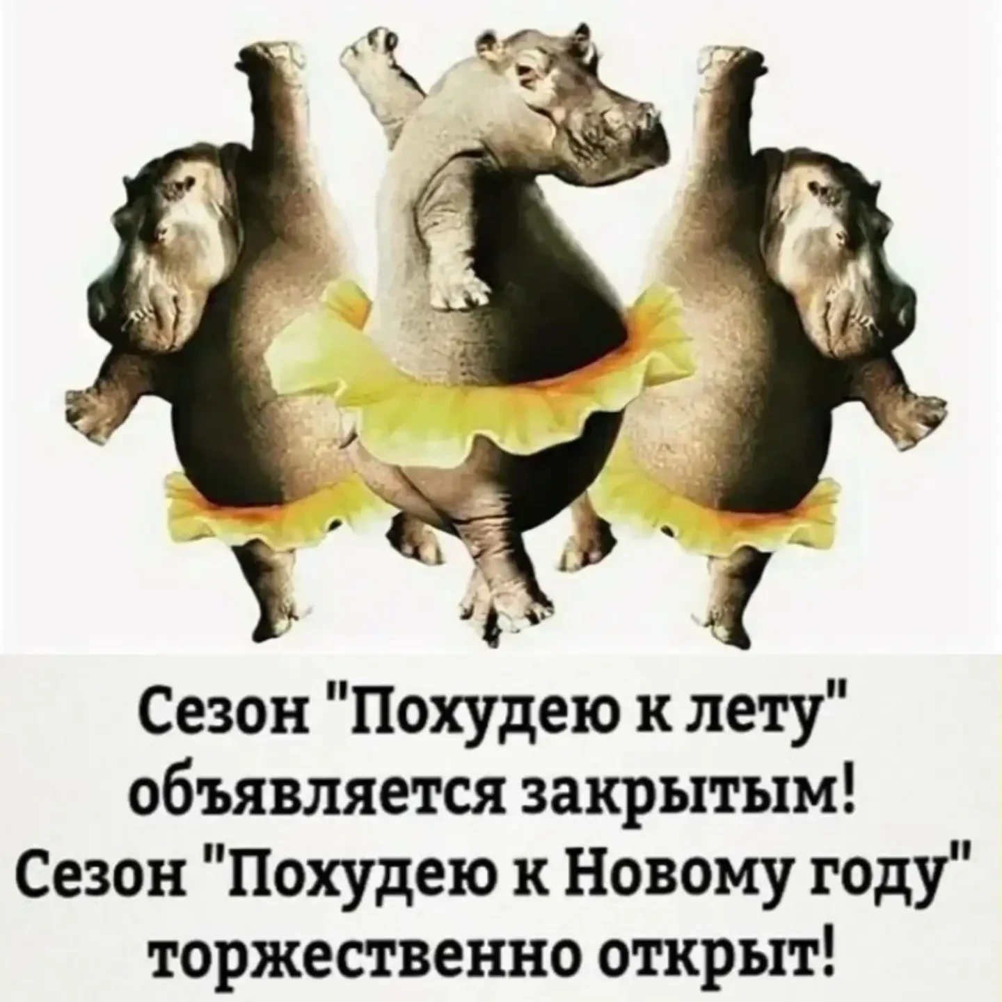 Женский юмор - Подписаться