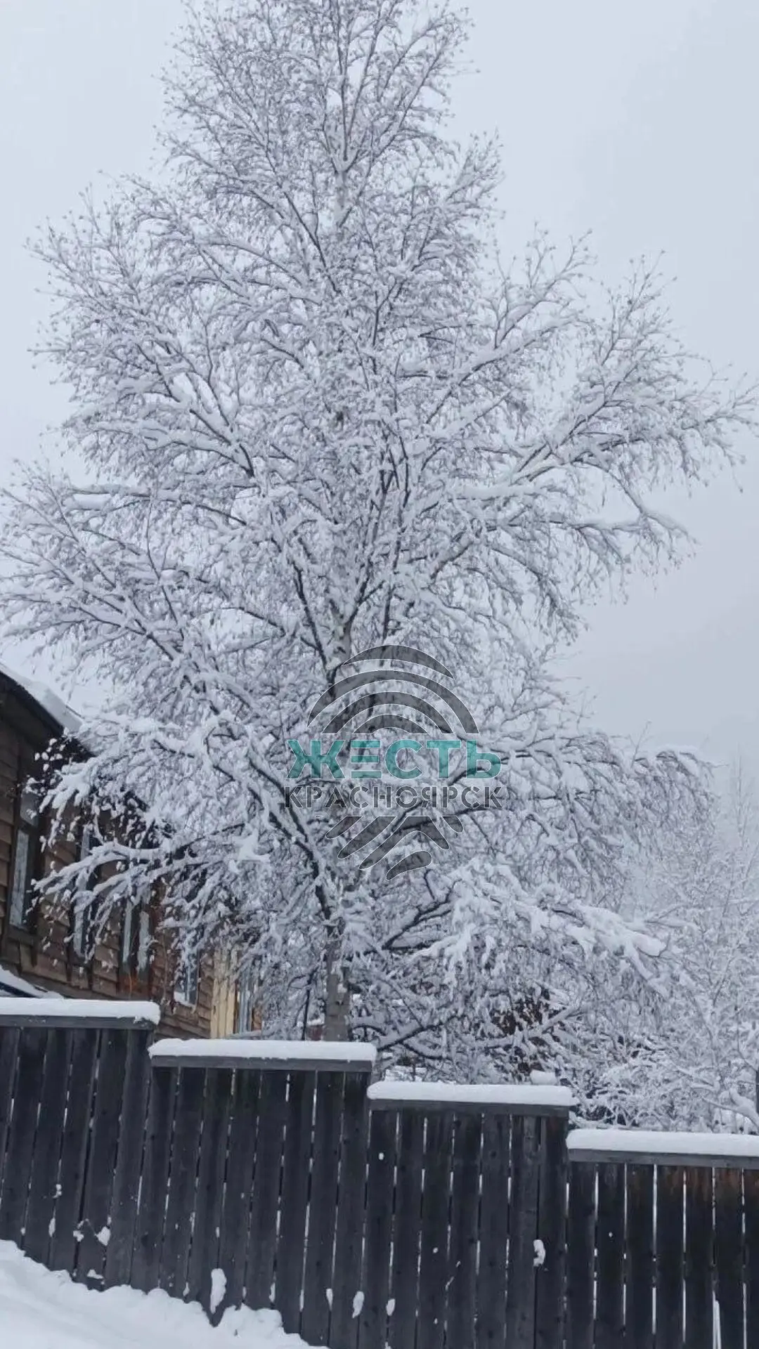 ❄️Север Красноярского края засыпало снегом — фотографиями делятся жители села Варнава