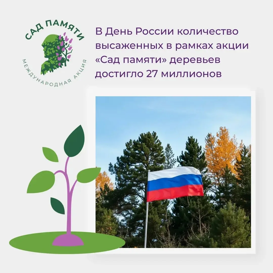 В День России седьмой сезон акции «Сад памяти» преодолел отметку в 27 миллионов высаженных деревьев
