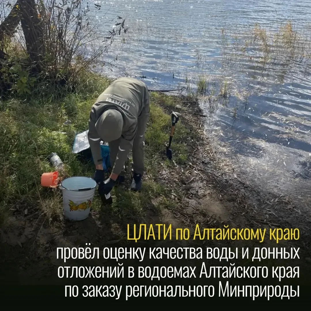 В рамках работы специалисты лаборатории ЦЛАТИ по Алтайскому краю отобрали пробы природн...