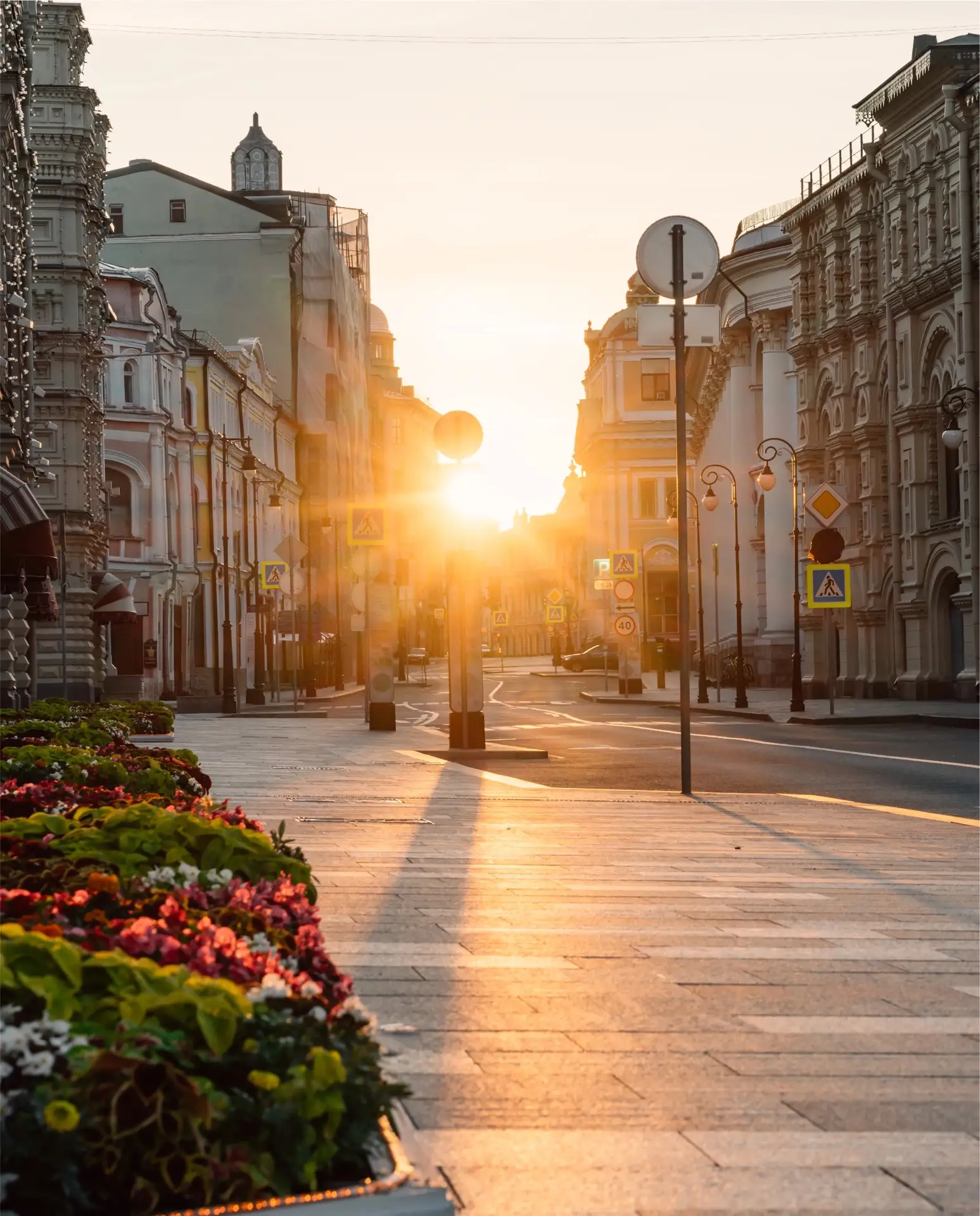 🌞 Лето вернётся в Москву уже в пятницу, — синоптики