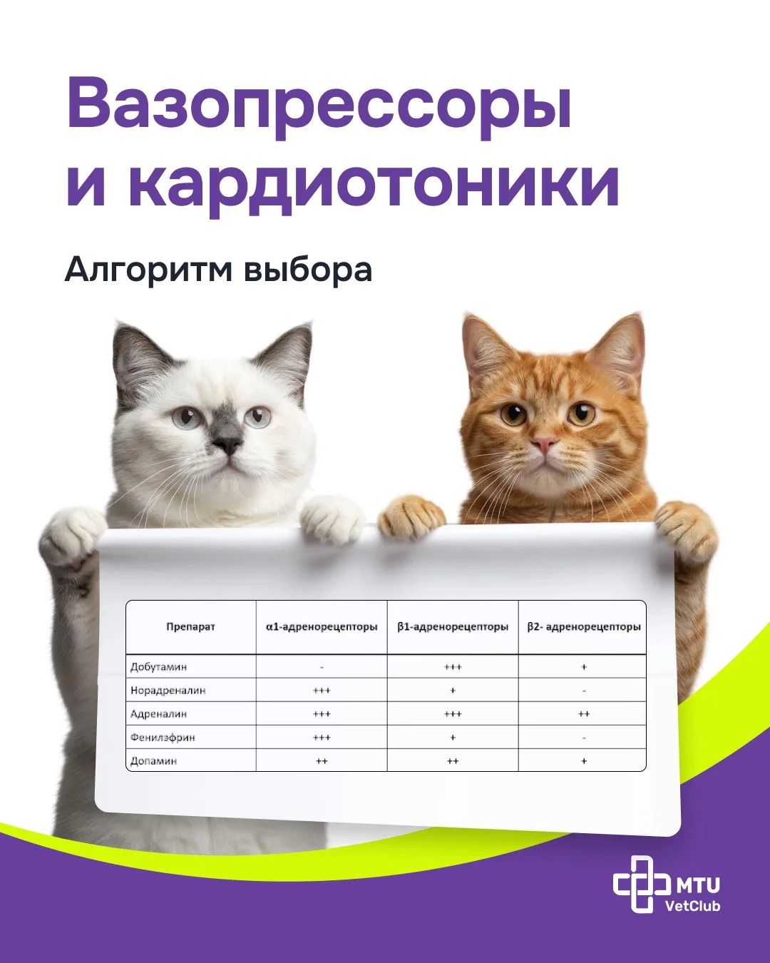 Шпаргалка по вазопрессорам и кардиотоникам в ОРИТ

Гипотензия у пациентов ОРИТ встречается часто и п