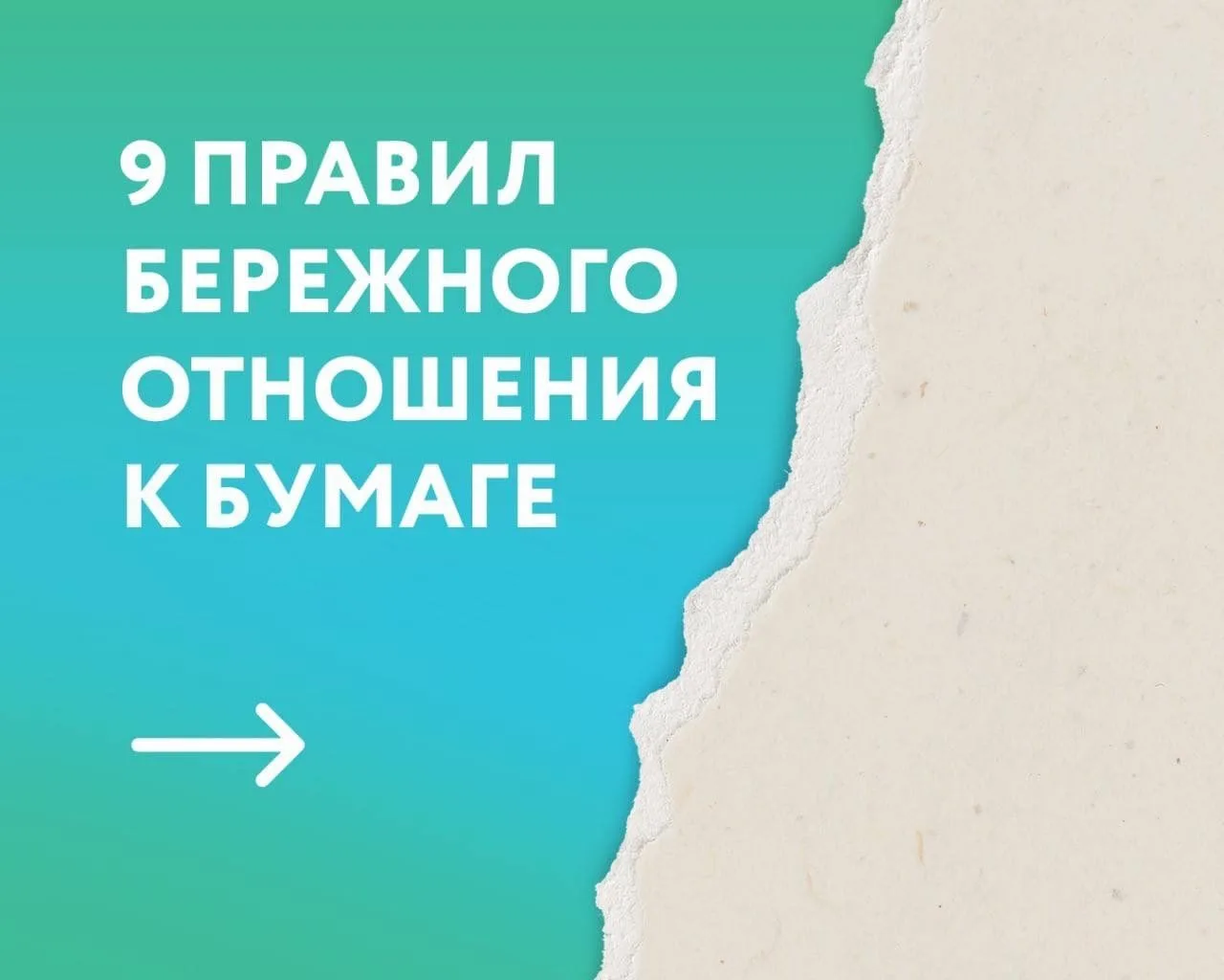 Раскрываем секреты бережного отношения к бумаге