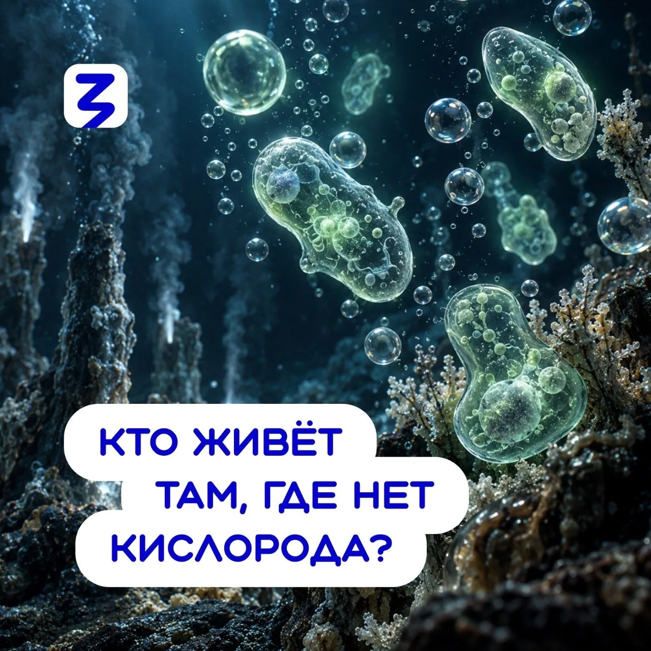 🖇️Ниже 200 метров Чёрное море пустеет: рыбы туда не опускаются, водоросли там не расту...