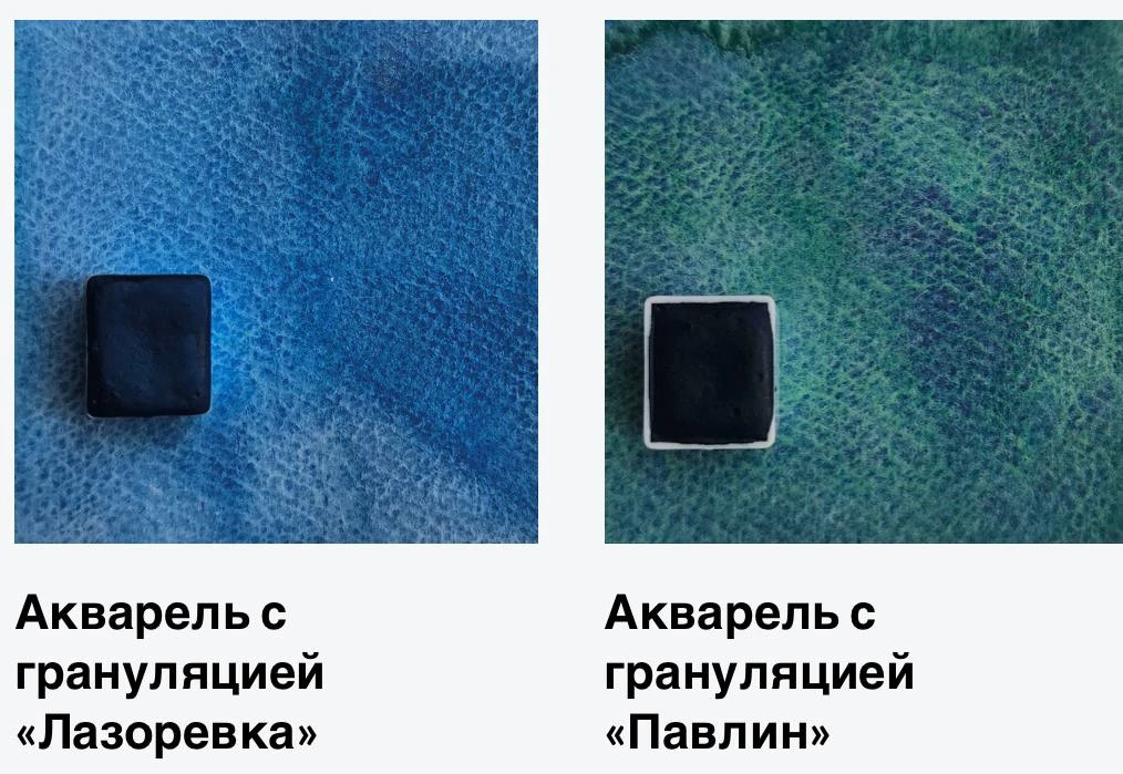 Акварель серии «Птички» от AquarelleWings.