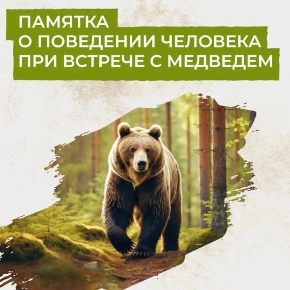 🐾Лето — время прогулок, рыбалки, походов за ягодами и выездов на природу. Именно в это...