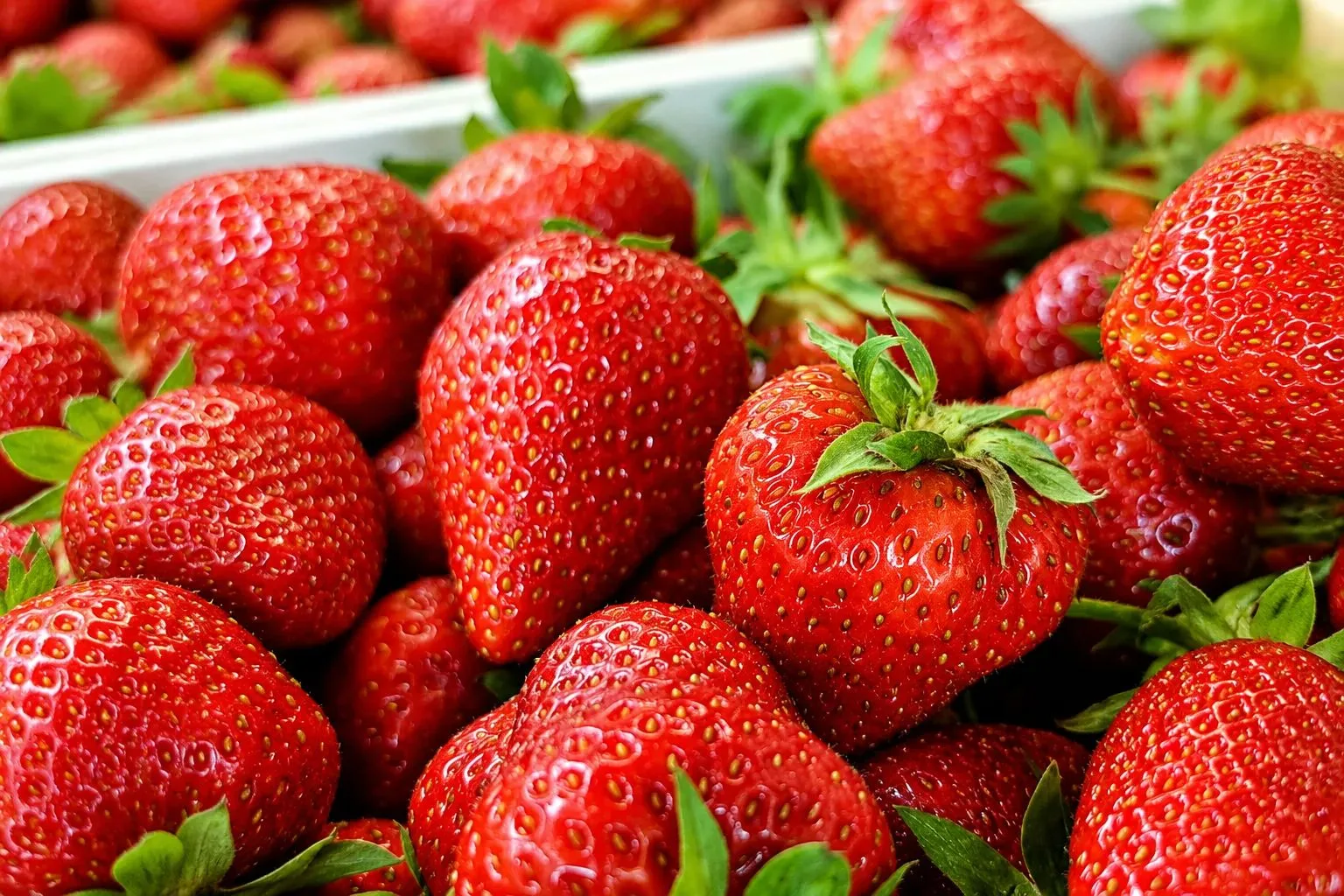 А наш ягодный фест продолжается! 🍓🍒🍇

В наличии:

🍓 Клубника Киргизия Альбион — 1 200 ₽/ящик
🍓 