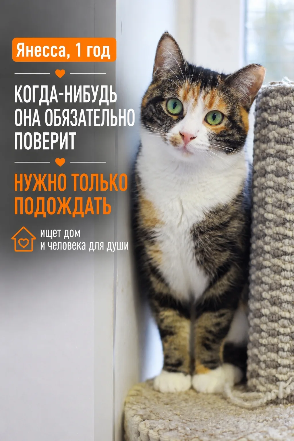 Спустя пять месяцев жизни в приюте, отношения с Янессой стали одновременно понятными и ...