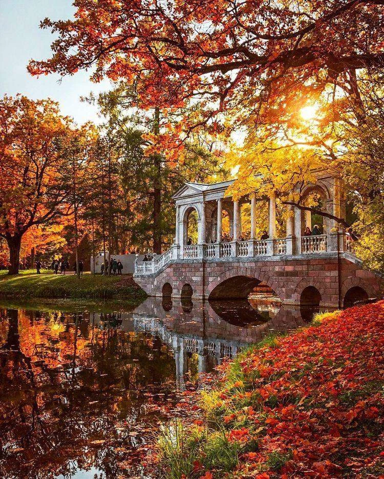 Проводим осень в России с палубы речного теплохода 🍂