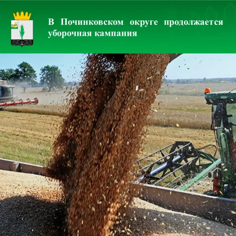 ✅Аграрии Починковского округа показывают высокие темпы уборочной кампании