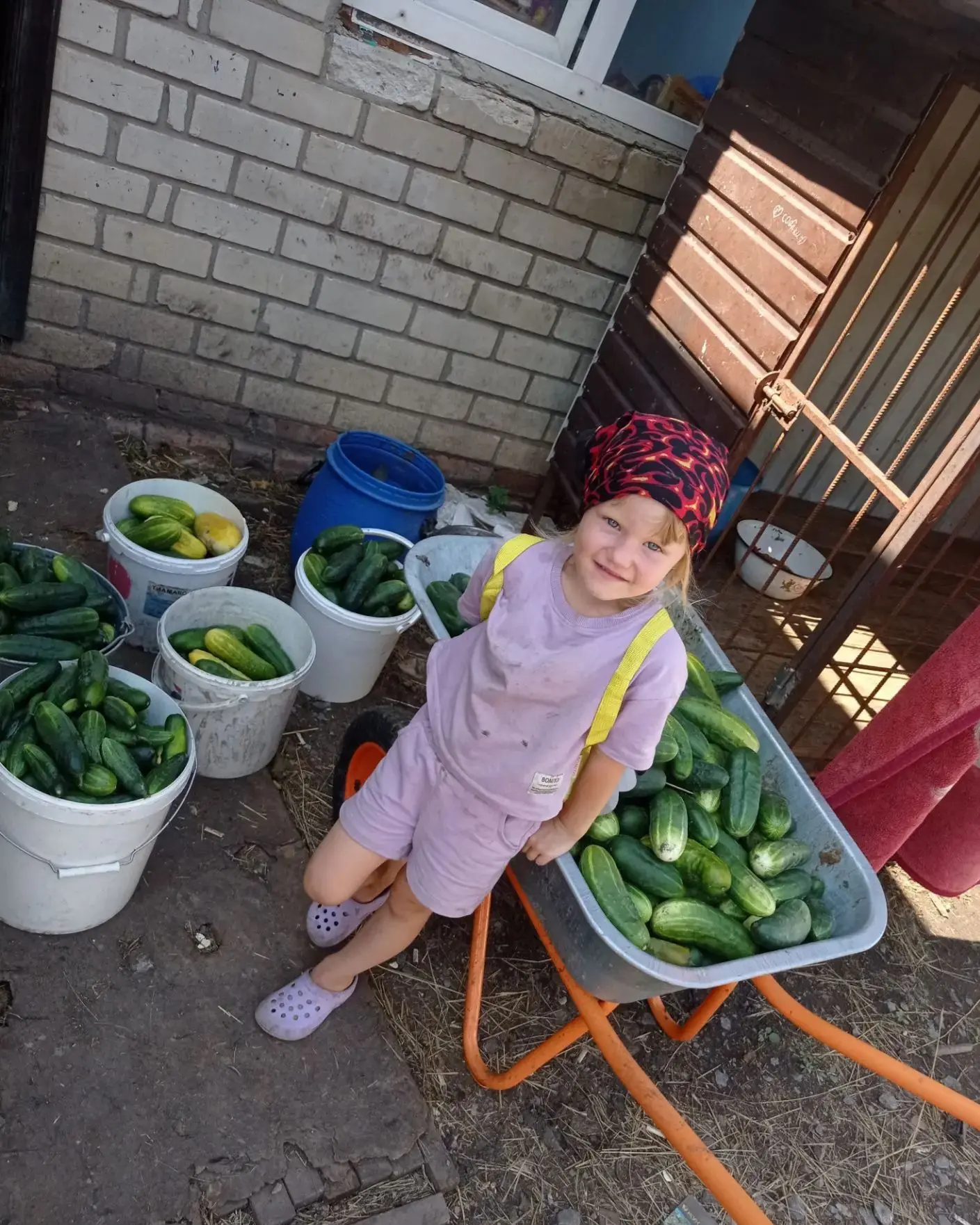 🥒🍉️"Вот оно какое, наше лето!🥕🥔