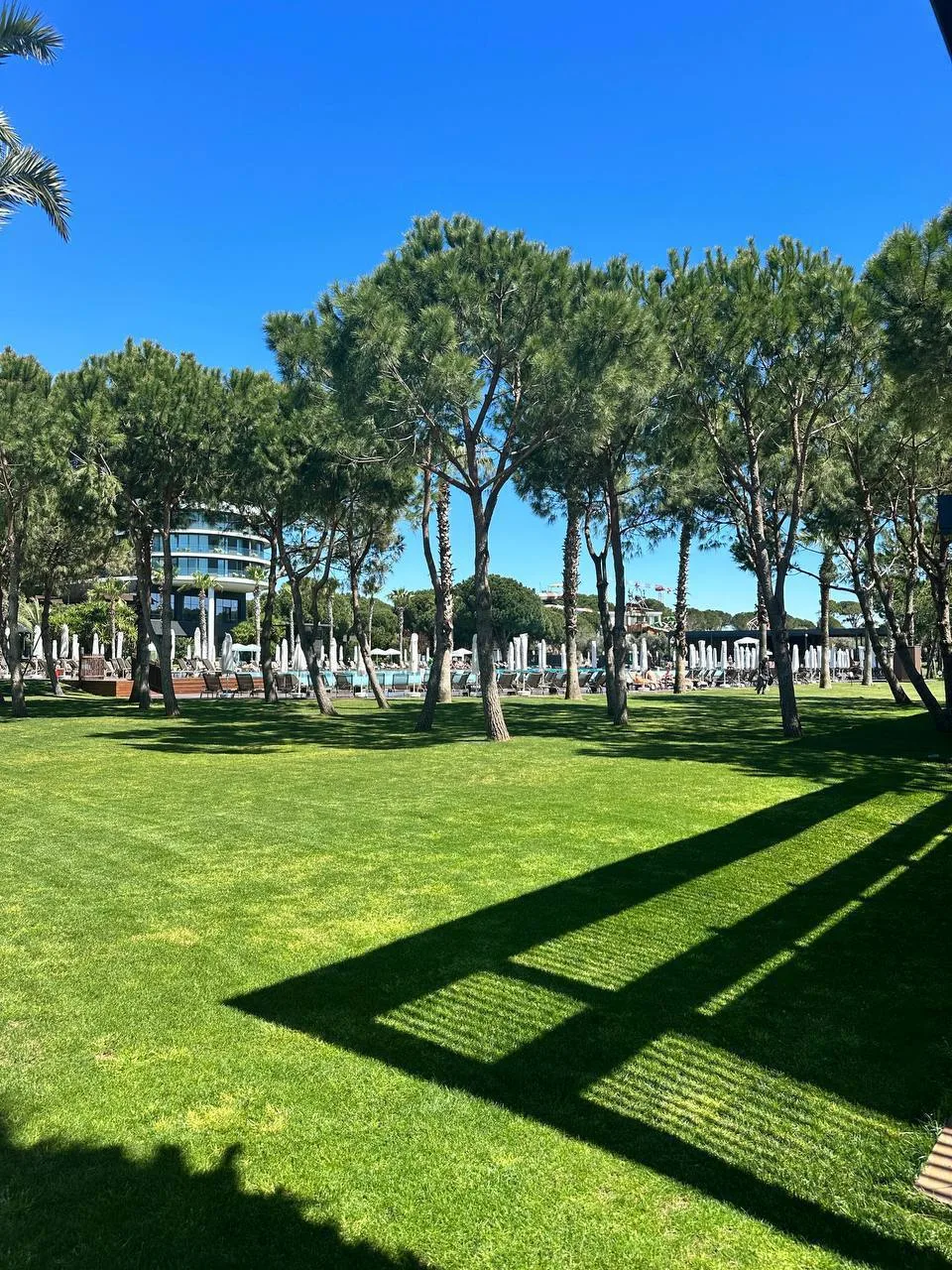 ЗИМНИЙ VOYAGE BELEK ♥️