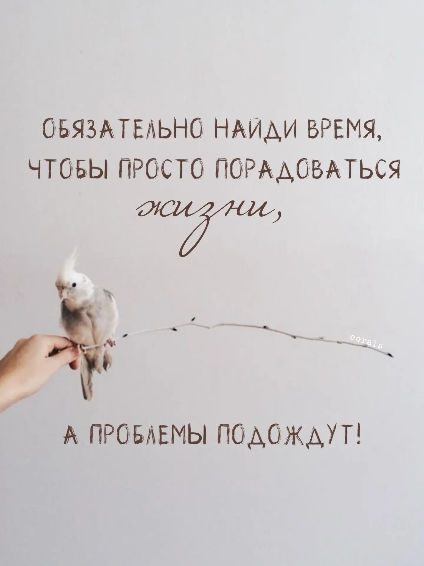 🇷🇺  Мы в МАХ : https://max.ru/dusha_angela_new