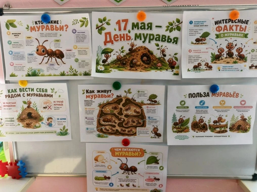 17 мая День муравья🐜