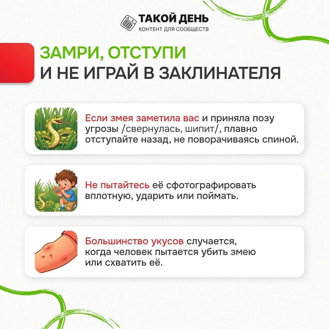 Памятка «Лес без происшествий»