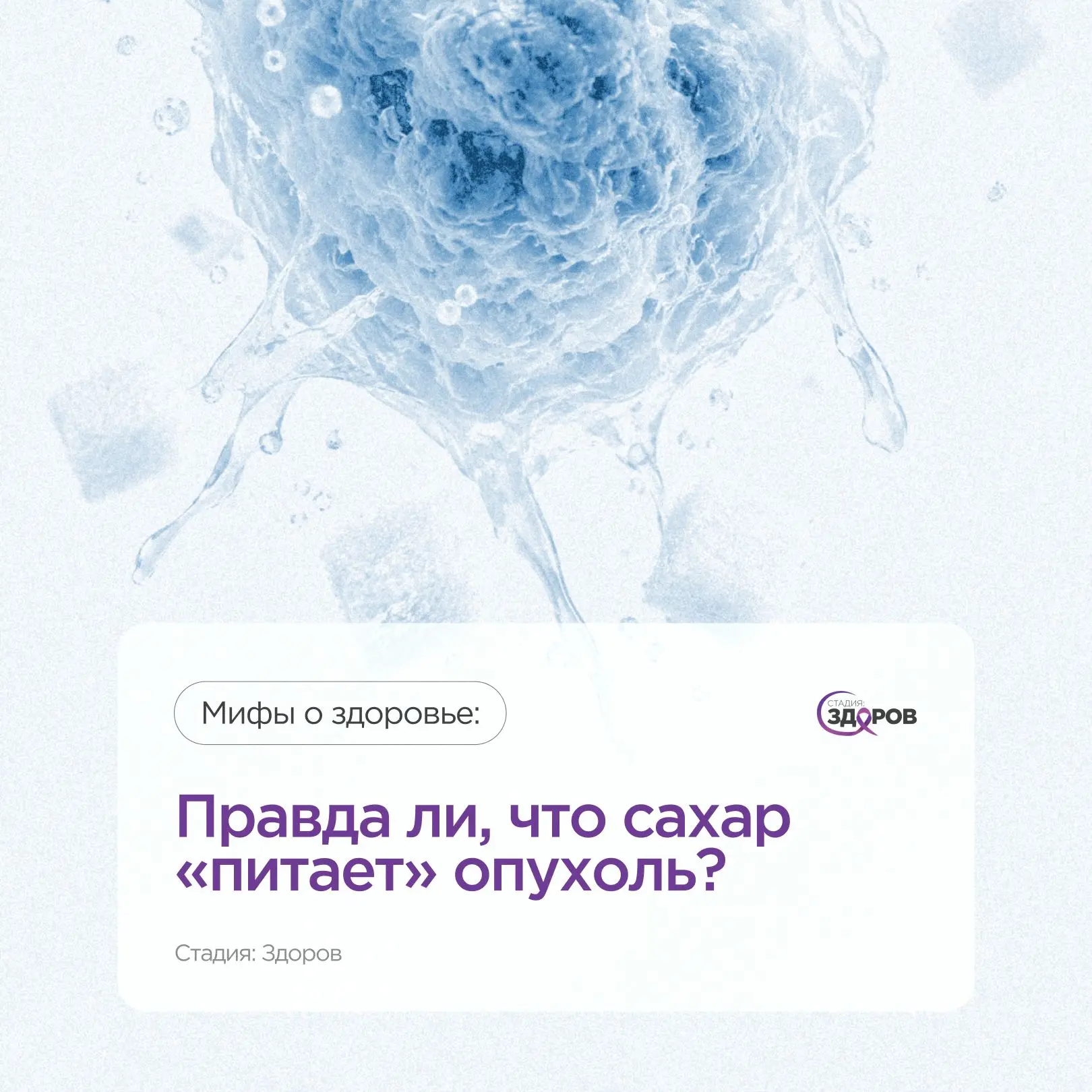 Мифы о здоровье: правда ли, что сахар «питает» опухоль?