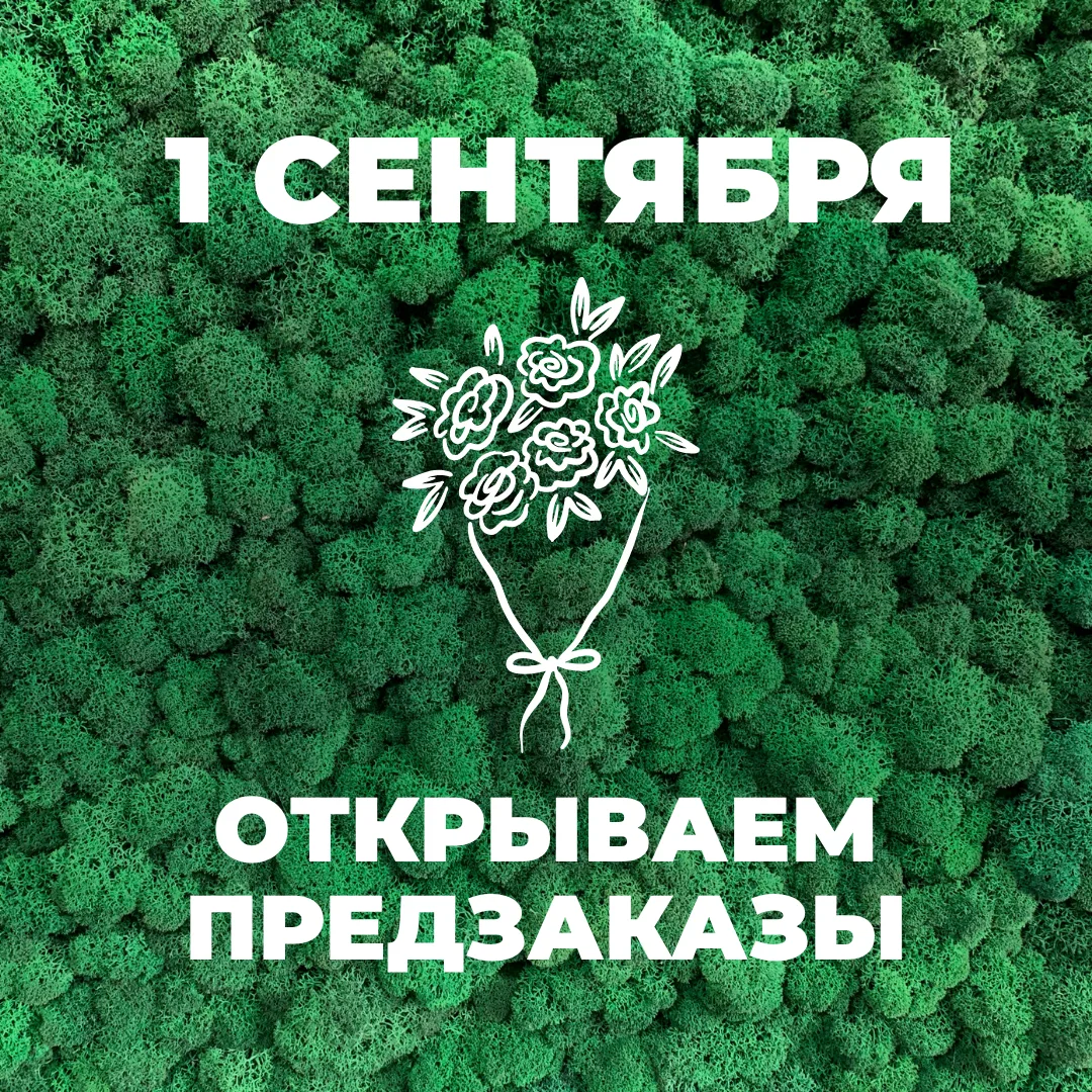 28 и 29 августа оформить предзаказ можно через наш сайт