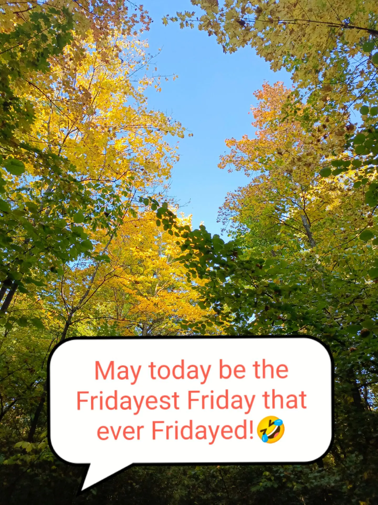 May today be the Fridayest Friday that ever Fridayed!🎉🎉🎉