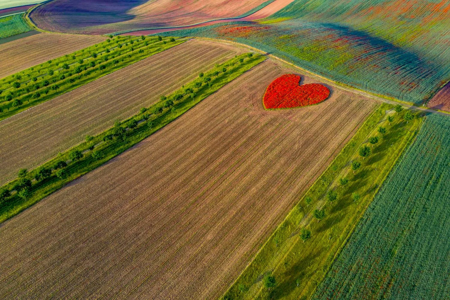 Влюбленный тракторист 😍