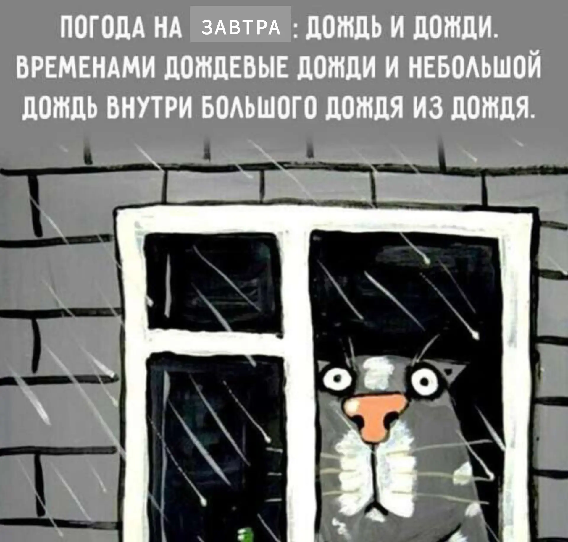 Экстренное предупреждение
