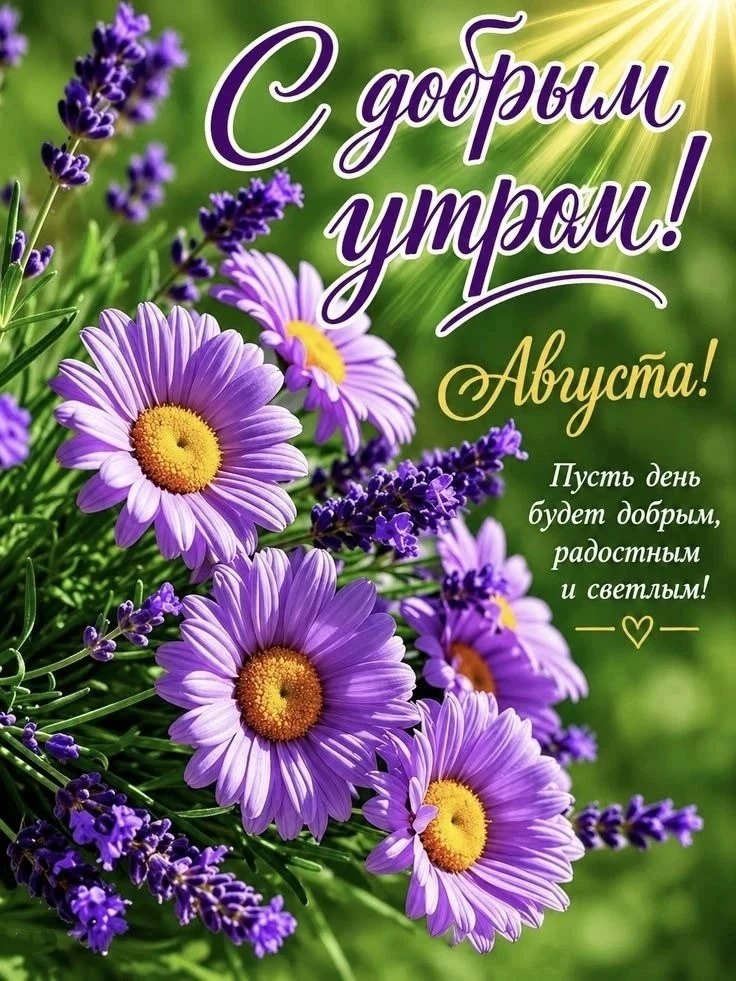 Красивые и добрые