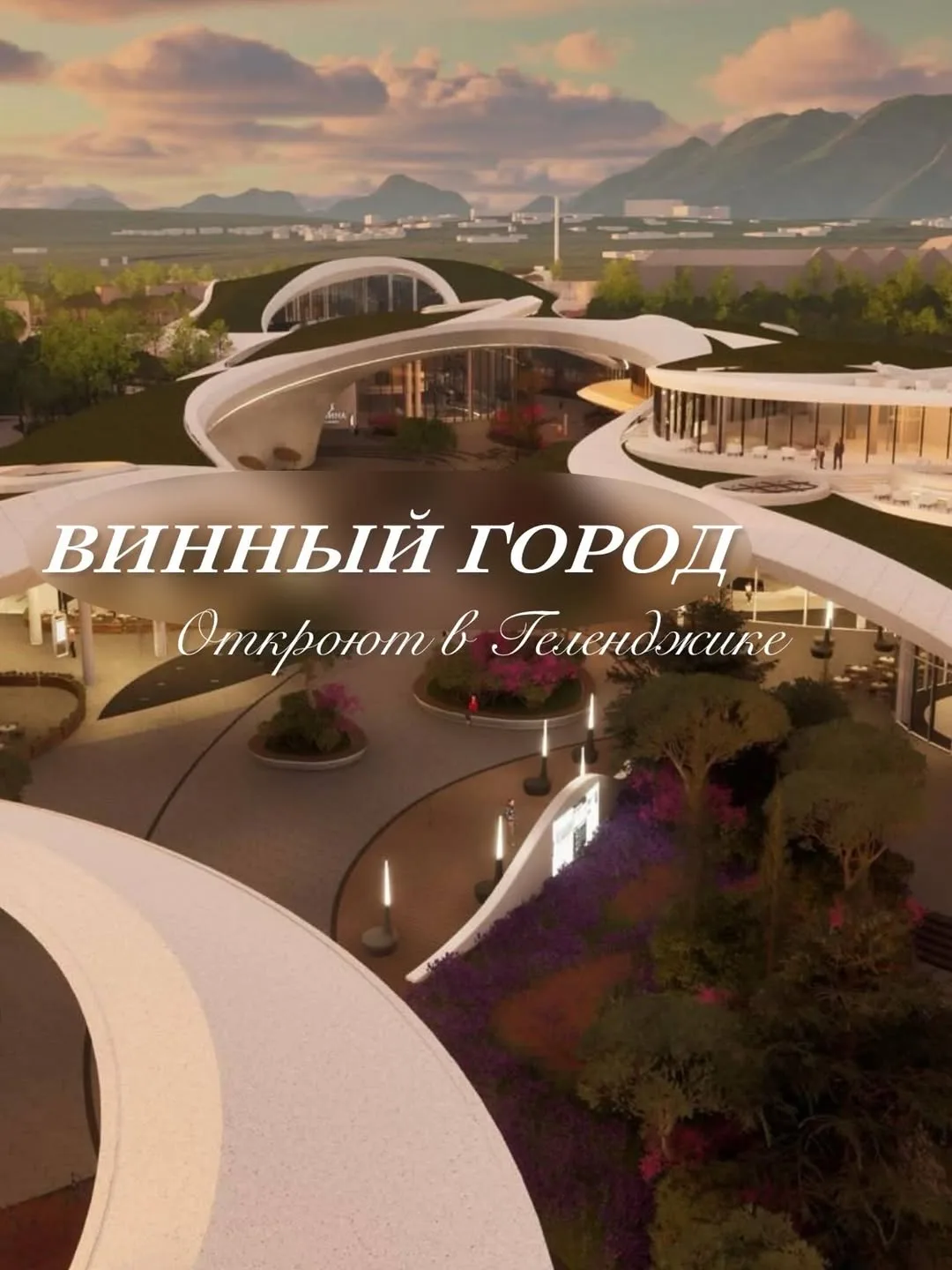 🍇 Винный мегаполис на побережье: в Геленджике строят уникальный кластер «Белый мыс»!
Этим летом кур