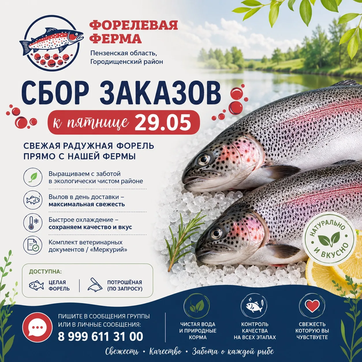 🐟 Открываем сбор заказов на свежую радужную форель к пятнице 29.05